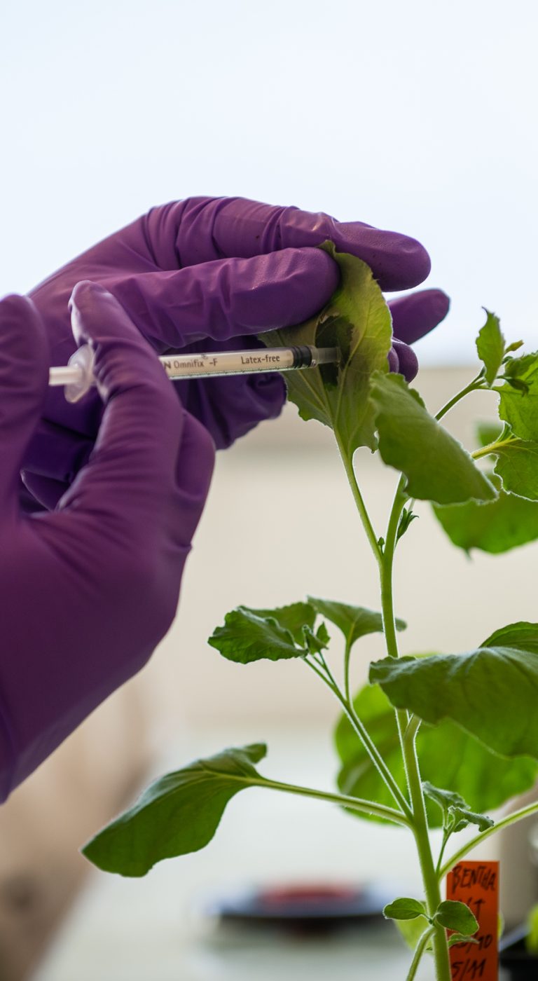 CNRS_Labo-BioGenMbnR-001-∏-Gautier-DUFAU-gdphotos.fr-44